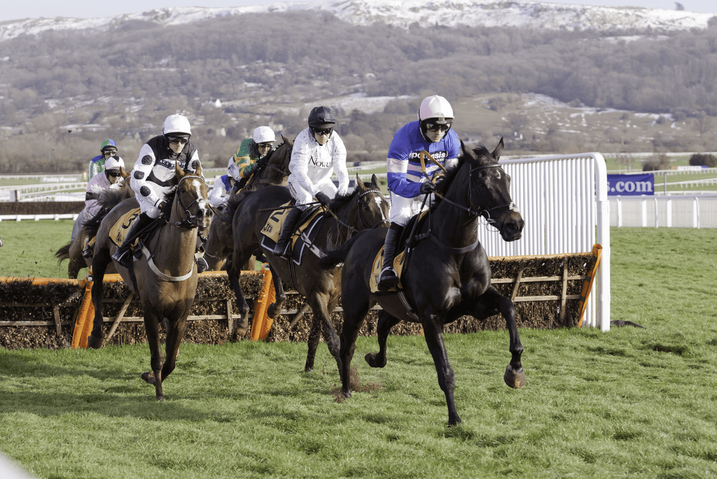 Cheltenham Festival Back With a Bang & Grand National Around the Corner ...