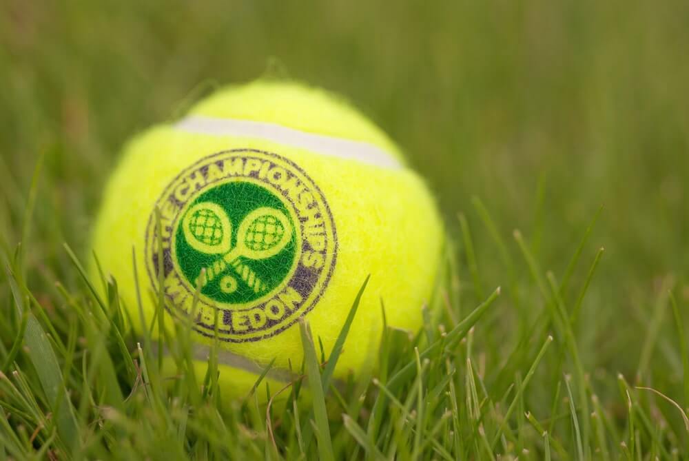 Tennis ball on Wimbledon's tennis pitch ready for a good betting match