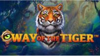 Way of the tiger